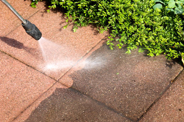 Best Residential Pressure Washing Services  in Dowagiac, MI